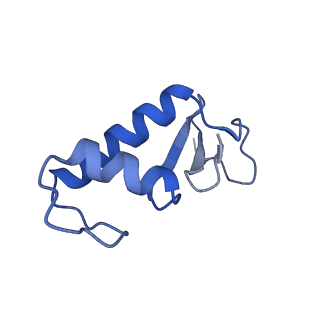16299_8bws_F_v1-0
Structure of yeast RNA Polymerase III elongation complex at 3.3 A