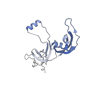 16299_8bws_G_v1-0
Structure of yeast RNA Polymerase III elongation complex at 3.3 A
