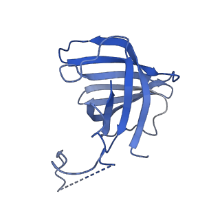 16299_8bws_H_v1-0
Structure of yeast RNA Polymerase III elongation complex at 3.3 A