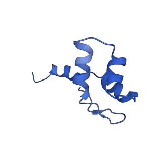 16299_8bws_J_v1-0
Structure of yeast RNA Polymerase III elongation complex at 3.3 A