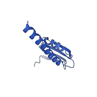 16299_8bws_K_v1-0
Structure of yeast RNA Polymerase III elongation complex at 3.3 A