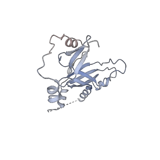 16299_8bws_M_v1-0
Structure of yeast RNA Polymerase III elongation complex at 3.3 A