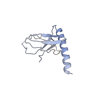 16299_8bws_N_v1-0
Structure of yeast RNA Polymerase III elongation complex at 3.3 A