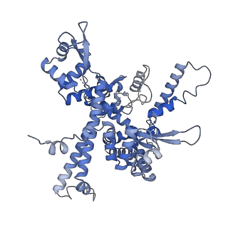 16299_8bws_O_v1-0
Structure of yeast RNA Polymerase III elongation complex at 3.3 A