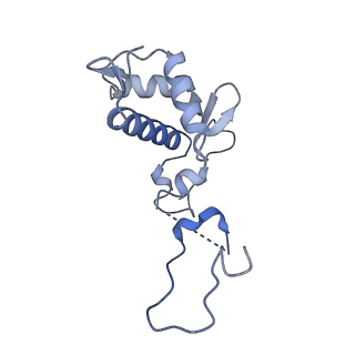 16299_8bws_P_v1-0
Structure of yeast RNA Polymerase III elongation complex at 3.3 A