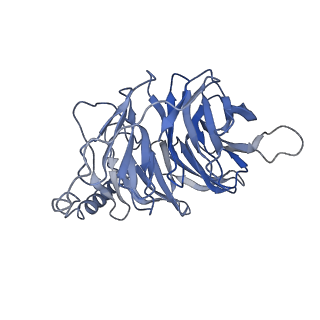 30221_7bw0_B_v1-2
Active human TGR5 complex with a synthetic agonist 23H