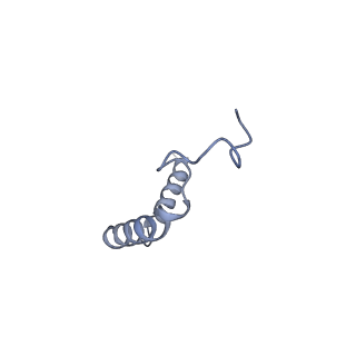 30221_7bw0_G_v1-2
Active human TGR5 complex with a synthetic agonist 23H