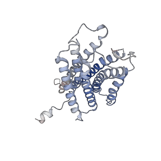 30221_7bw0_R_v1-1
Active human TGR5 complex with a synthetic agonist 23H