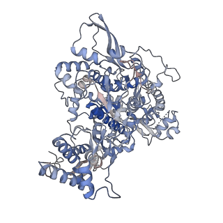 30226_7bw4_A_v1-4
Structure of the RNA-dependent RNA polymerase from SARS-CoV-2