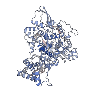 30226_7bw4_A_v2-1
Structure of the RNA-dependent RNA polymerase from SARS-CoV-2