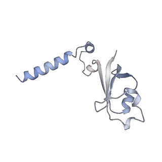 30226_7bw4_B_v1-4
Structure of the RNA-dependent RNA polymerase from SARS-CoV-2