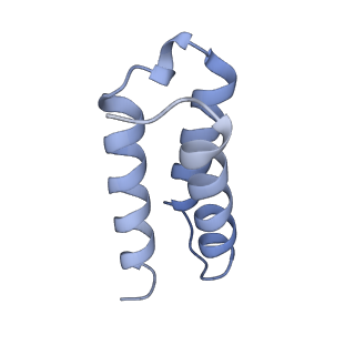 30226_7bw4_C_v1-4
Structure of the RNA-dependent RNA polymerase from SARS-CoV-2