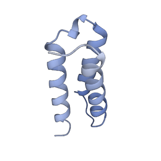 30226_7bw4_C_v2-1
Structure of the RNA-dependent RNA polymerase from SARS-CoV-2
