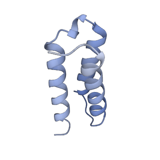 30226_7bw4_C_v2-2
Structure of the RNA-dependent RNA polymerase from SARS-CoV-2