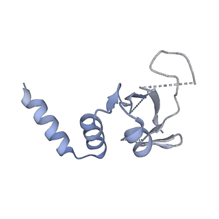 30226_7bw4_D_v1-4
Structure of the RNA-dependent RNA polymerase from SARS-CoV-2