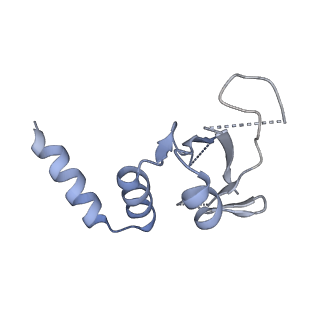 30226_7bw4_D_v2-2
Structure of the RNA-dependent RNA polymerase from SARS-CoV-2