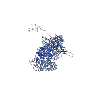 30228_7bw6_F_v1-1
Varicella-zoster virus capsid