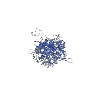 30228_7bw6_P_v1-1
Varicella-zoster virus capsid