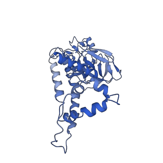 30228_7bw6_g_v1-1
Varicella-zoster virus capsid