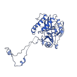 30228_7bw6_l_v1-1
Varicella-zoster virus capsid