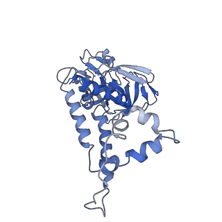 30228_7bw6_m_v1-1
Varicella-zoster virus capsid