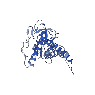 30228_7bw6_q_v1-1
Varicella-zoster virus capsid