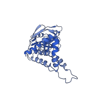 30228_7bw6_s_v1-1
Varicella-zoster virus capsid