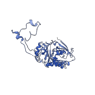 30228_7bw6_w_v1-1
Varicella-zoster virus capsid