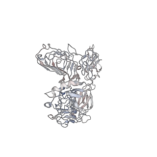 30229_7bw7_A_v1-0
Cryo-EM Structure for the Ectodomain of the Full-length Human Insulin Receptor in Complex with 1 Insulin.
