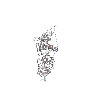 30229_7bw7_C_v1-0
Cryo-EM Structure for the Ectodomain of the Full-length Human Insulin Receptor in Complex with 1 Insulin.
