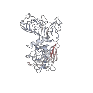 30230_7bw8_A_v1-0
Cryo-EM Structure for the Insulin Binding Region in the Ectodomain of the Full-length Human Insulin Receptor in Complex with 1 Insulin
