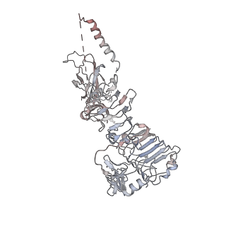 30231_7bwa_A_v1-0
Cryo-EM Structure for the Ectodomain of the Full-length Human Insulin Receptor in Complex with 2 Insulin