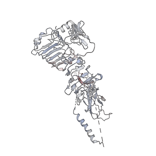 30231_7bwa_C_v1-0
Cryo-EM Structure for the Ectodomain of the Full-length Human Insulin Receptor in Complex with 2 Insulin