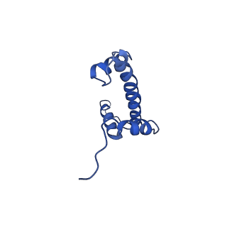 30232_7bwd_A_v1-0
Structure of Dot1L-H2BK34ub Nucleosome Complex