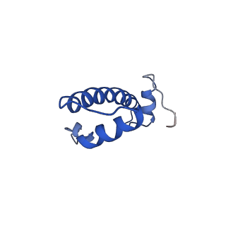 30232_7bwd_B_v1-0
Structure of Dot1L-H2BK34ub Nucleosome Complex