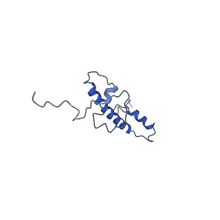 30232_7bwd_C_v1-0
Structure of Dot1L-H2BK34ub Nucleosome Complex
