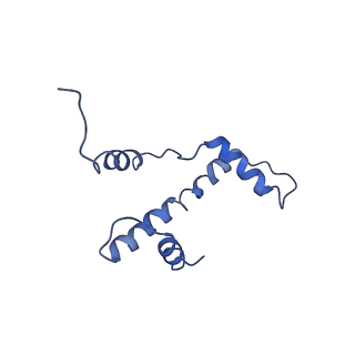 30232_7bwd_E_v1-0
Structure of Dot1L-H2BK34ub Nucleosome Complex
