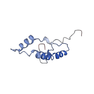 30232_7bwd_F_v1-0
Structure of Dot1L-H2BK34ub Nucleosome Complex