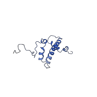 30232_7bwd_G_v1-0
Structure of Dot1L-H2BK34ub Nucleosome Complex