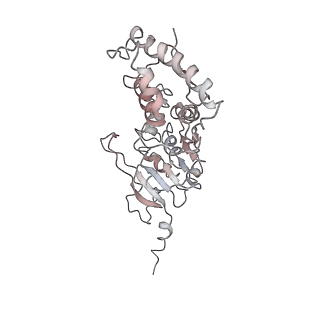 30232_7bwd_K_v1-0
Structure of Dot1L-H2BK34ub Nucleosome Complex