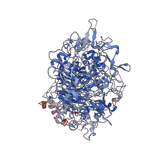 30233_7bwm_A_v1-0
Cryo-EM structure of the human pathogen Mycoplasma pneumoniae P1