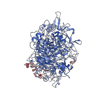 30233_7bwm_A_v1-1
Cryo-EM structure of the human pathogen Mycoplasma pneumoniae P1