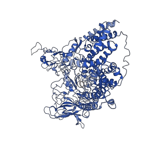 30234_7bwr_A_v1-2
Mycobacterium smegmatis arabinosyltransferase complex EmbB2-AcpM2 in substrate DPA bound asymmetric "active state"