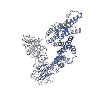 30234_7bwr_B_v1-1
Mycobacterium smegmatis arabinosyltransferase complex EmbB2-AcpM2 in substrate DPA bound asymmetric "active state"