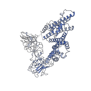 30234_7bwr_B_v1-2
Mycobacterium smegmatis arabinosyltransferase complex EmbB2-AcpM2 in substrate DPA bound asymmetric "active state"