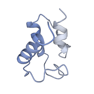 30234_7bwr_C_v1-2
Mycobacterium smegmatis arabinosyltransferase complex EmbB2-AcpM2 in substrate DPA bound asymmetric "active state"