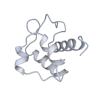30234_7bwr_D_v1-1
Mycobacterium smegmatis arabinosyltransferase complex EmbB2-AcpM2 in substrate DPA bound asymmetric "active state"
