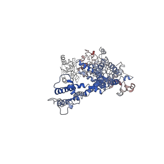 7298_6bwf_A_v1-3
4.1 angstrom Mg2+-unbound structure of mouse TRPM7