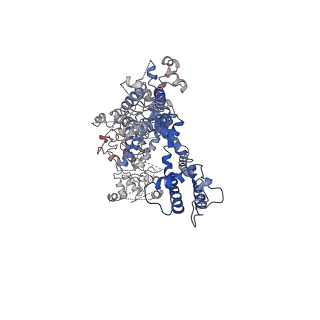 7298_6bwf_B_v1-4
4.1 angstrom Mg2+-unbound structure of mouse TRPM7