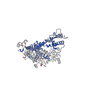 7298_6bwf_C_v1-3
4.1 angstrom Mg2+-unbound structure of mouse TRPM7